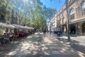 Barcelone : Visite guidée audio pour smartphone du quartier gothique