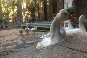 Barcelona: Gothic Quarter Walking Tour