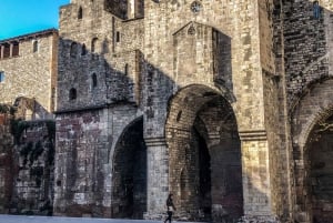 Barcelona: Gothic Walking Tour with Language Options