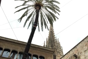 Готическая прогулка по Барселоне: римские стены и скрытый двор