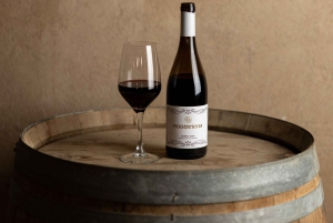 Barcelona: Gourmet-smagning af catalanske vine og tapas