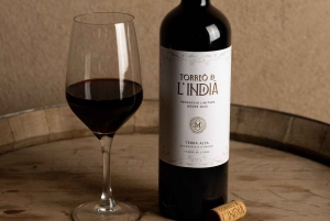 Barcelona: Gourmet-smagning af catalanske vine og tapas