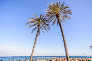 Barcelona Grand Tour de Segway de 2 horas