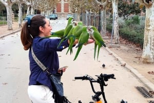 Barcelona: Pyörällä tai sähköpyörällä.