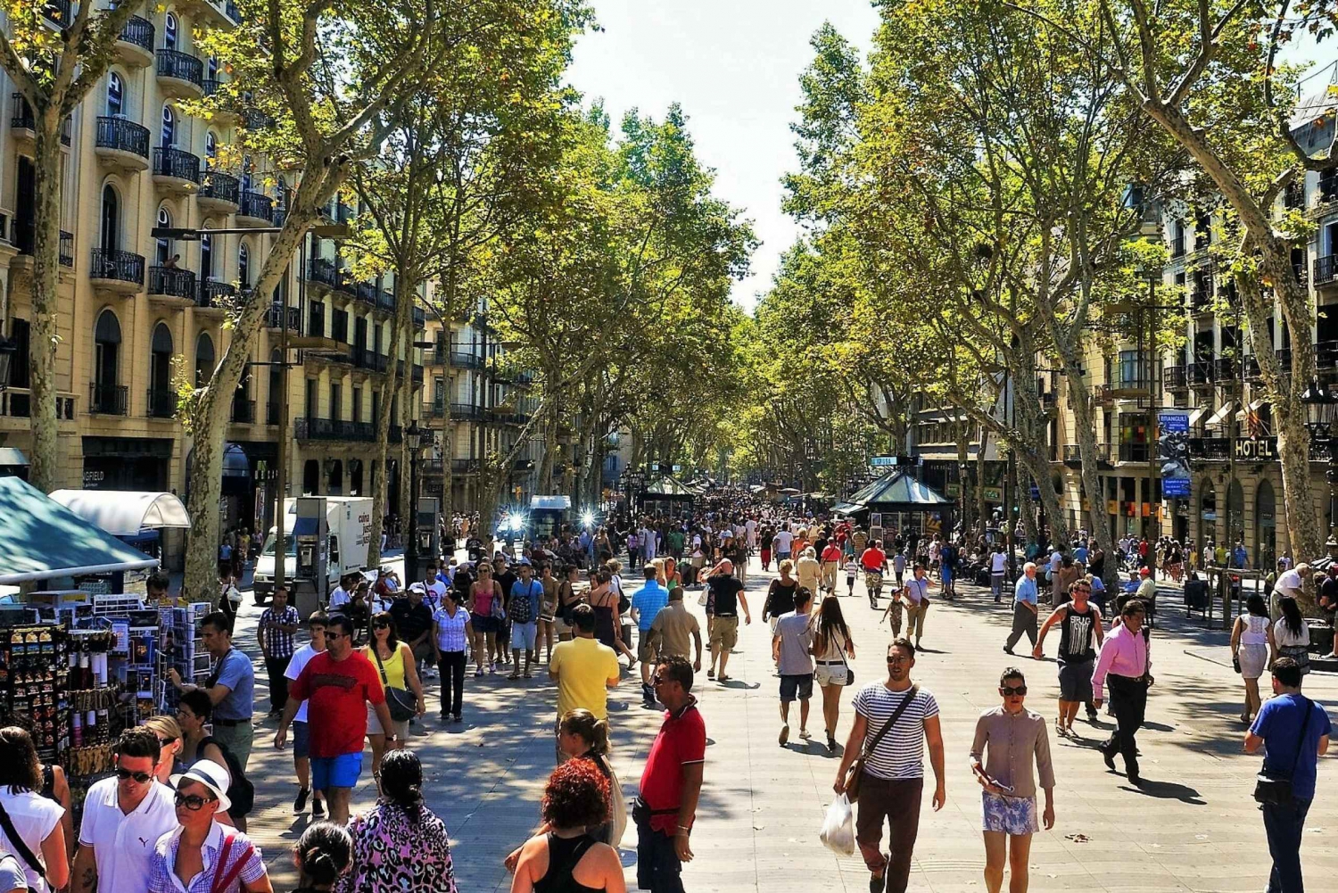 Barcelona: Guided Food Tour & Wine Tasting