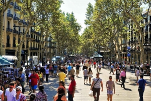 Barcelona: Guided Food Tour & Wine Tasting