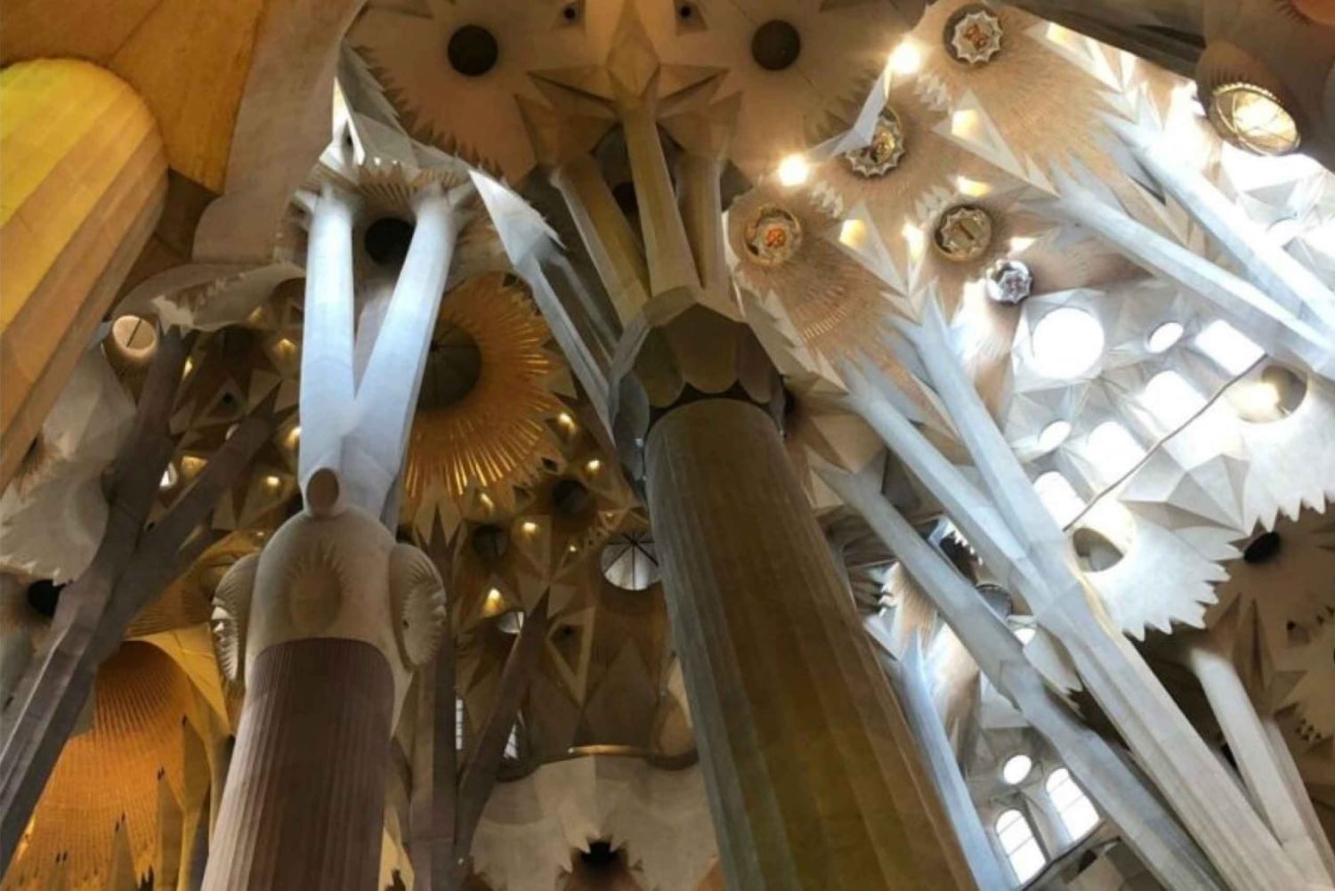 Barcelona: Geführte Sagrada Familia Tour & Einlass ohne Anstehen (Skip-The-Line)