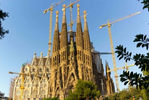 Barcelona: Geführte Sagrada Familia Tour & Einlass ohne Anstehen (Skip-The-Line)