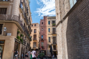 Guidet tur i Barcelona på fransk