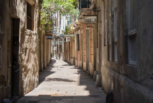 Guidet tur i Barcelona på fransk