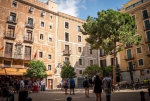 Guidet tur i Barcelona på fransk
