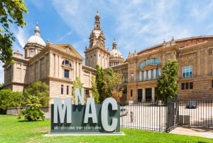 MNAC Masterpieces: For Art Lovers in Barcelona