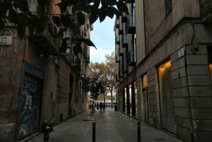 Barcelona: Guided Walking Tour with Picasso Museum Ticket