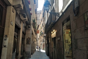 Barcelona: Guided Walking Tour with Picasso Museum Ticket