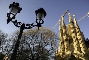 Barcelona: halve dagtour op zijspanmotor