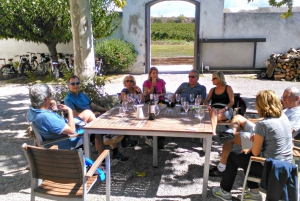 Barcelona: Half-Day Wine and Electric Bike Tour