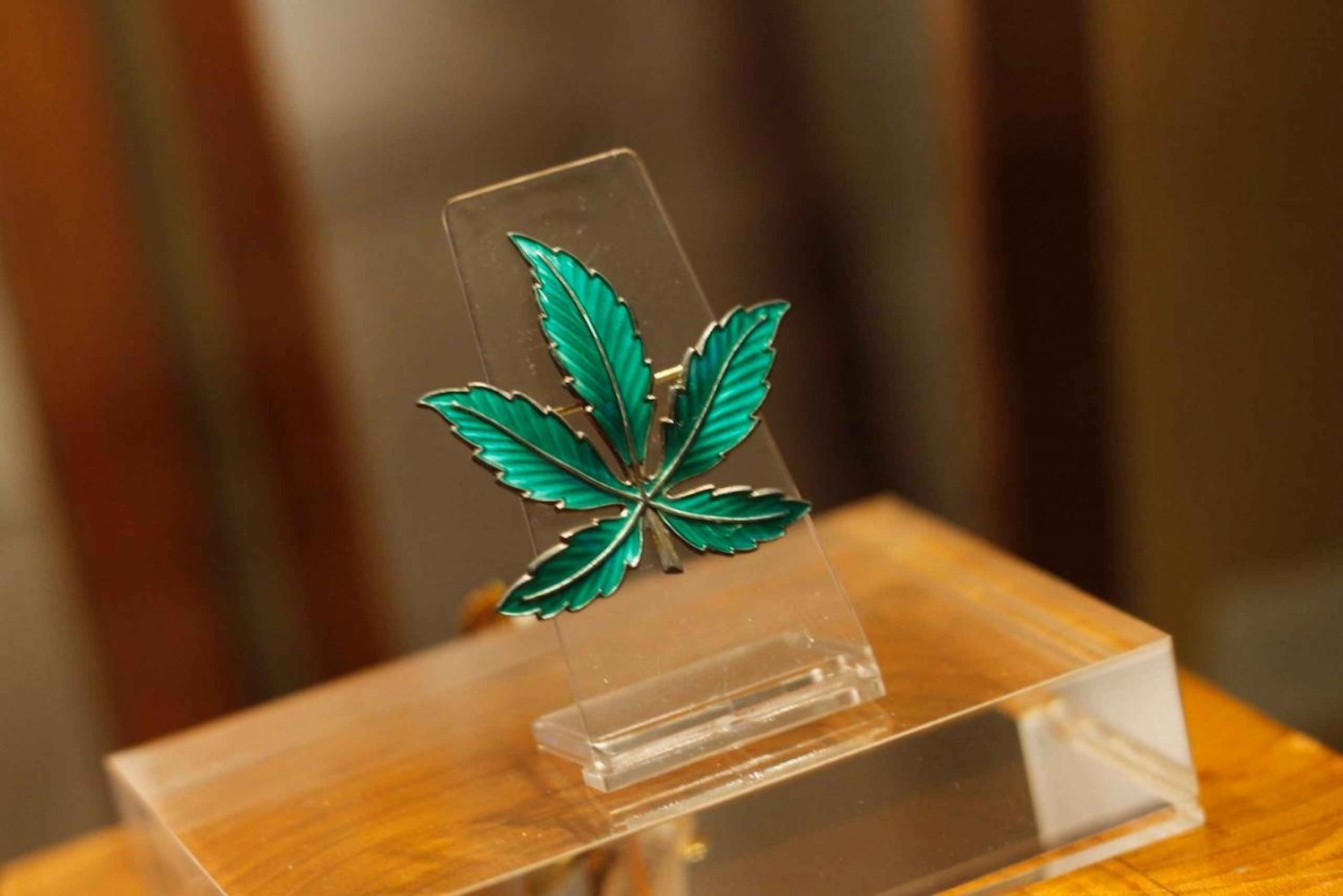 Barcelona: inträdesbiljett till museet för haschmarijuana och hampa