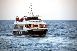 Barcelona: Wycieczka łodzią po Las Golondrinas