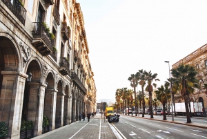 Barcelona Highlights: Half-Day Private Van Tour