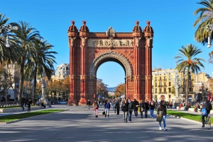 Барселона: экскурсия на полдня в небольшой группе с трансфером