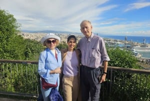 Барселона: экскурсия на полдня в небольшой группе с трансфером