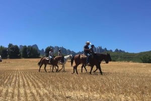 Barcelona: Hiking and Horse Riding Day-Trip in Montserrat
