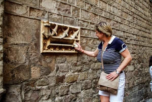 Barcelona Historical 3-Hour Bike Tour