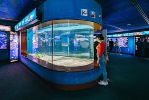 Barcelone : bus à arrêts multiples et visite de l'aquarium