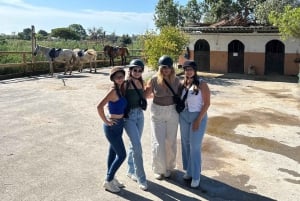 Barcelona: Horseback Ride + Picnic for Beginners or Experts