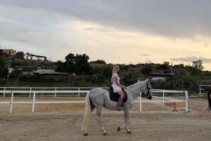 Barcelona: Horseback Ride + Picnic for Beginners or Experts