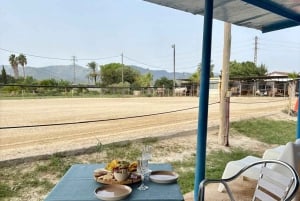 Barcelona: Horseback Ride + Picnic for Beginners or Experts
