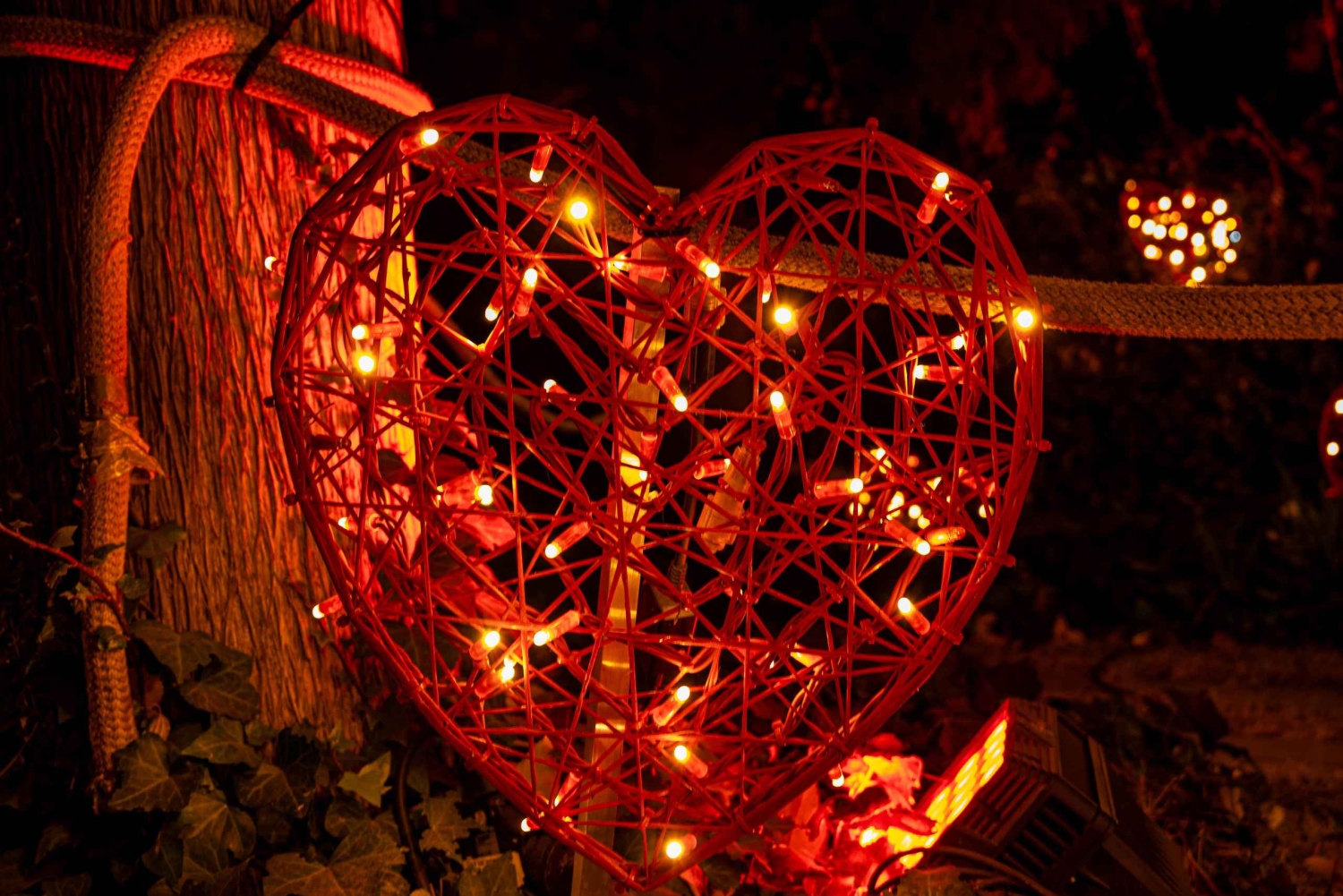 Barcelona: Hospital de Sant Pau y tour de fotografía nocturna