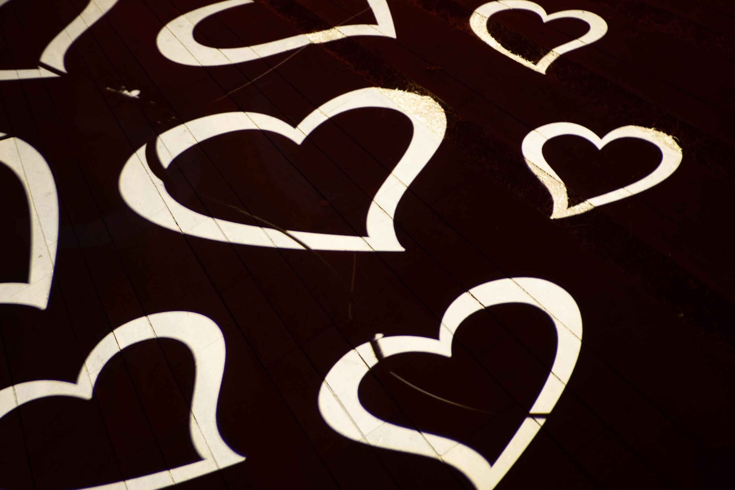 Barcelona: Hospital de Sant Pau y tour de fotografía nocturna