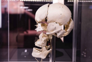 Barcelona: Human Bodies Exhibition with Audioguide