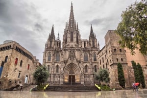 Barcelona in een dag Dagvullende tour privétour