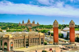 Barcelona in een dag Dagvullende tour privétour