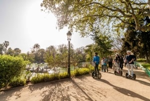 Barcelona Insiders Segway Tour 1.5h