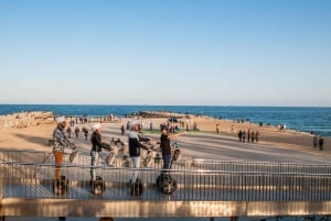 Barcelona Insiders Segway Tour 1.5h