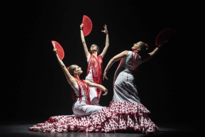 Barcellona: 'Inspiration', spettacolo di flamenco dal vivo