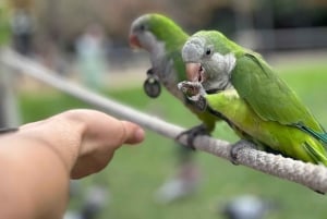 Барселона: частный урок фотографии на телефон — парк и старый город