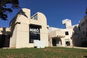 Barcelona: Miro-säätiön taidehistorioitsijan yksityinen kierros.