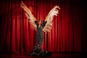 Barcellona: Biglietto per lo spettacolo di flamenco La Laietana