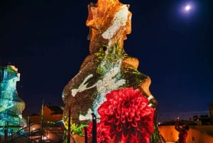 Barcelona: La Pedrera Night Experience