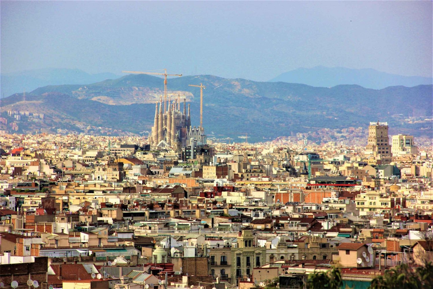 Barcelona: La Sagrada Familia Guided Tour with Skip the Line