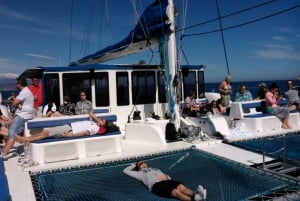 Barcelona: AFTERWORK Katamaran Cruise med musikk og drikke