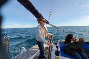 Барселона: роскошный частный круиз на яхте на закате