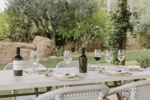 Barcelona: cata de vino de lujo en una bodega boutique + 6 platos