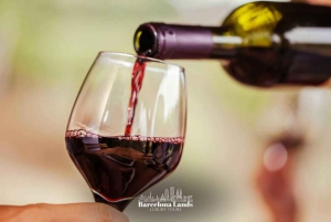 Barcelona: Luksustur til Priorat, vinsmagning og frokost