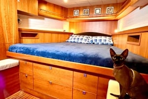 Barcelone : Excursion en voilier privé sur un yacht de luxe