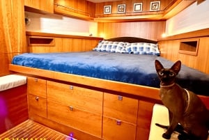 Barcelona: Luxury Yacht Private Sailing Tour